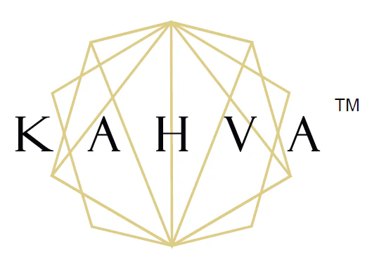 Nityansh Ventures logo