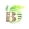 Bamboo Craft Hub logo