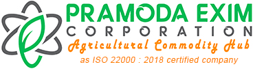 Pramoda EXIM logo
