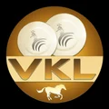 Viren Enterprises logo