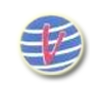 Vinayak International Corporation logo