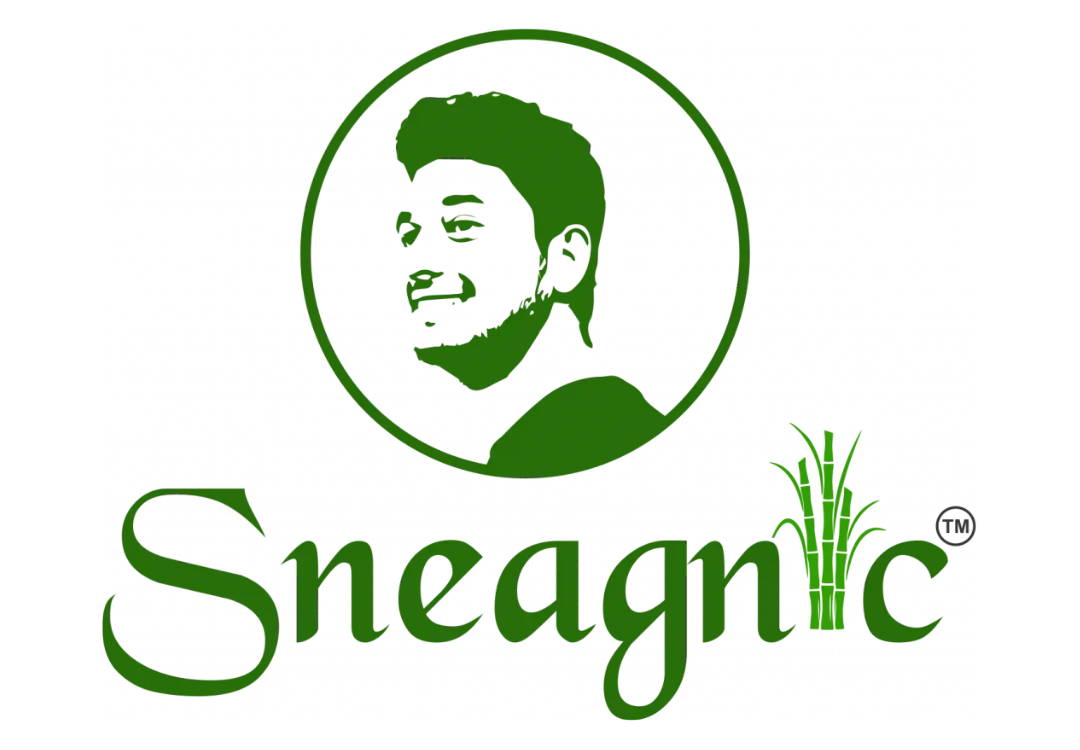 Sneagnic Private Limited logo