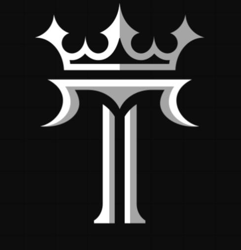 T Group Imports and Exports logo
