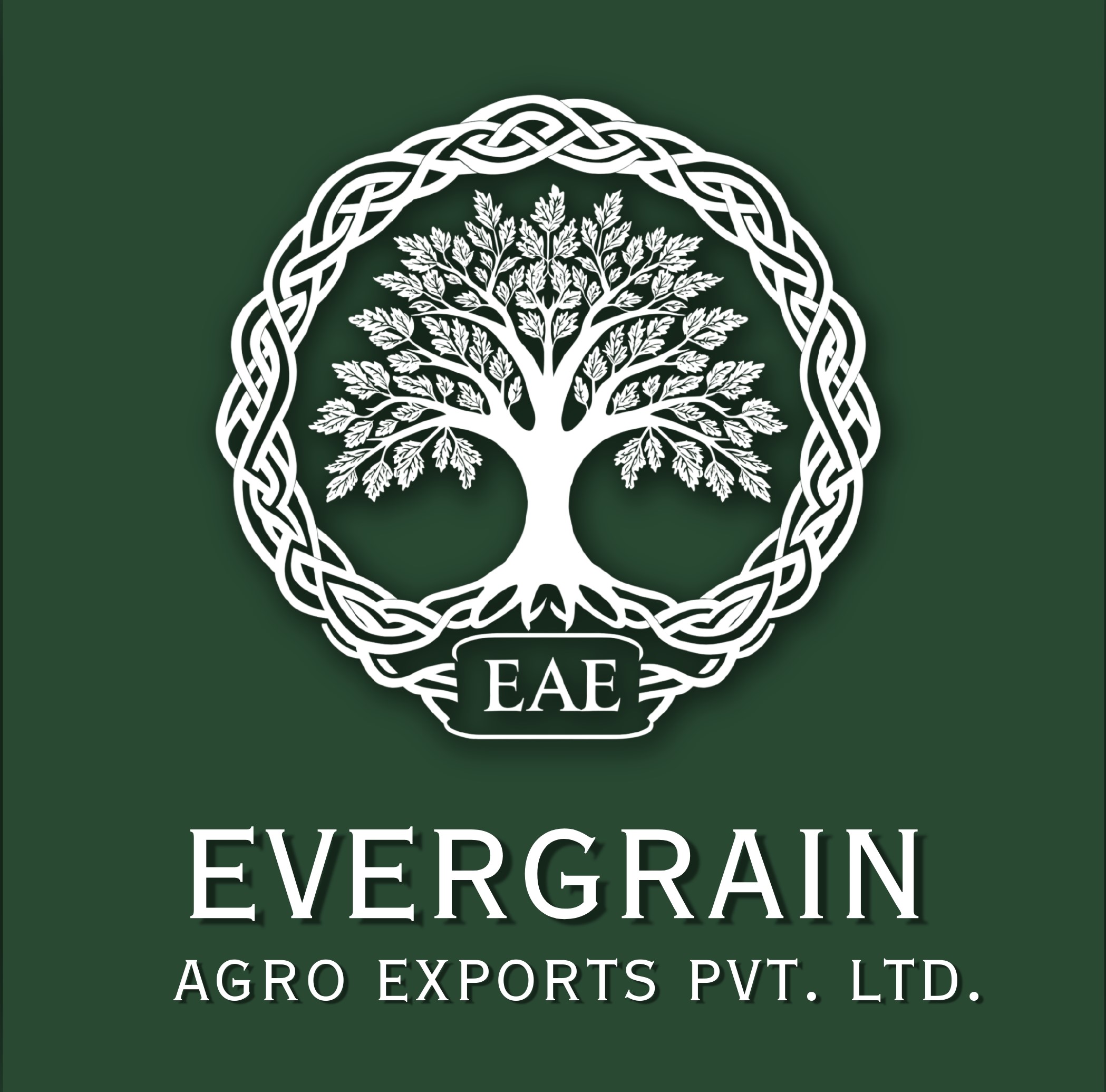 Evergrain Agro Exports Private Limited logo