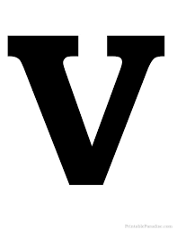 Vish Agro Global logo