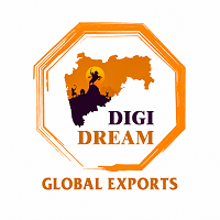 Digidream Global Exports logo