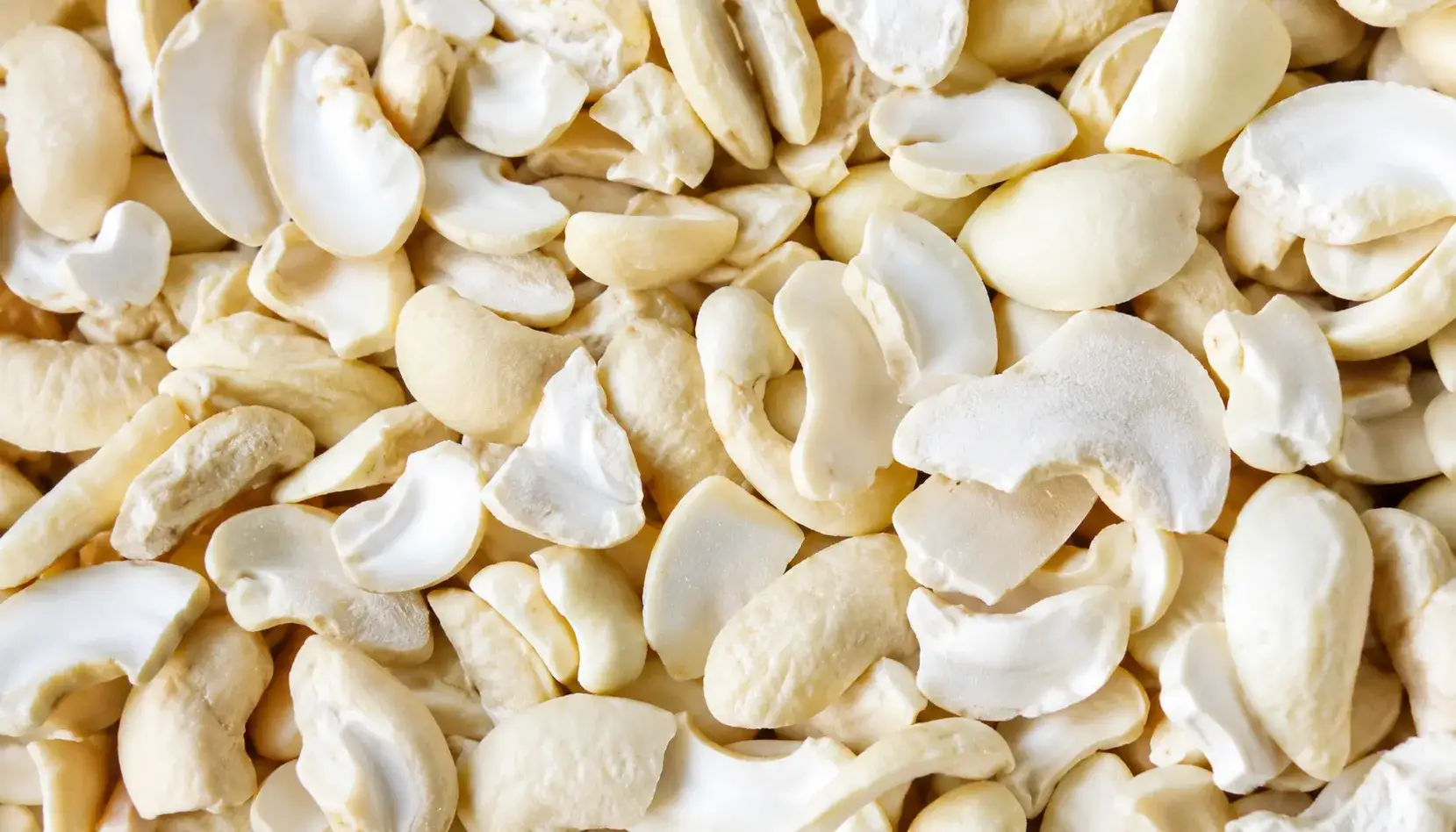 Broken Cashew Nut - Food & Beverages supplier, exporter & wholesale manufacturer