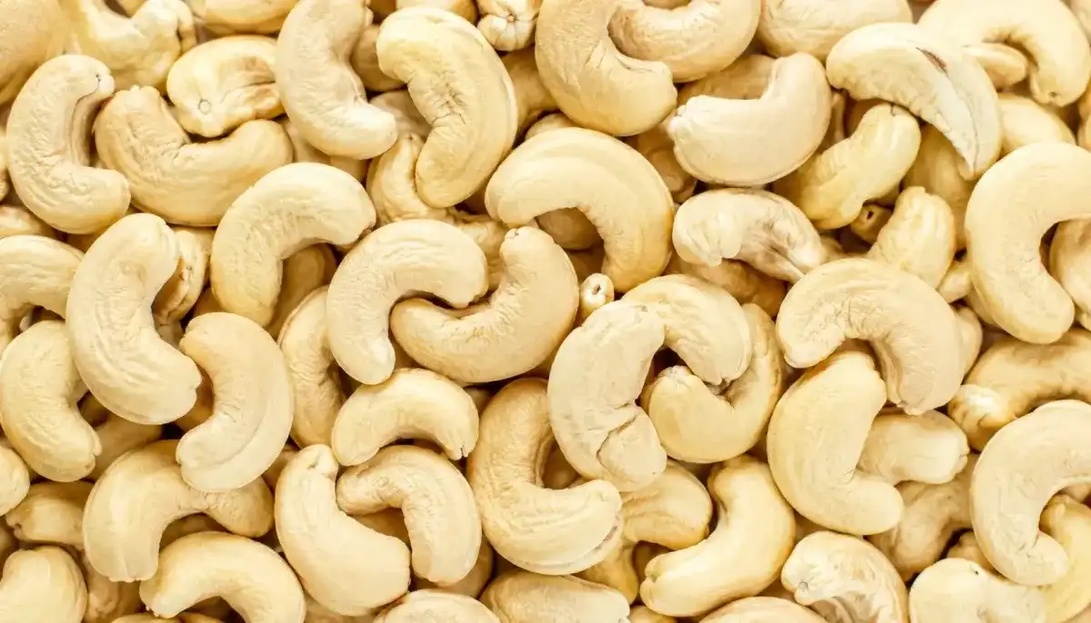 Cashew Nut - Food & Beverages supplier, exporter & wholesale manufacturer