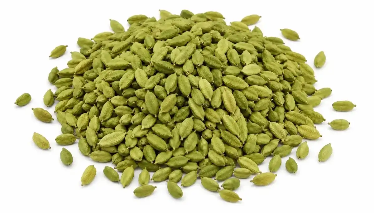 6to7mm Cardamom - Food & Beverages supplier, exporter & wholesale manufacturer
