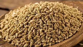 Ajwain - Food & Beverages supplier, exporter & wholesale manufacturer