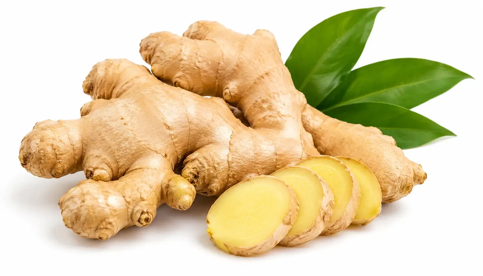 Ginger - Food & Beverages supplier, exporter & wholesale manufacturer