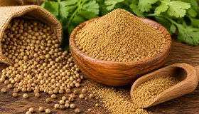 Coriander Powder - Food & Beverages supplier, exporter & wholesale manufacturer