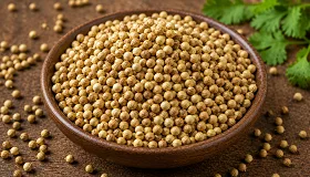 Coriander Seeds (Dhaniya) - Food & Beverages supplier, exporter & wholesale manufacturer