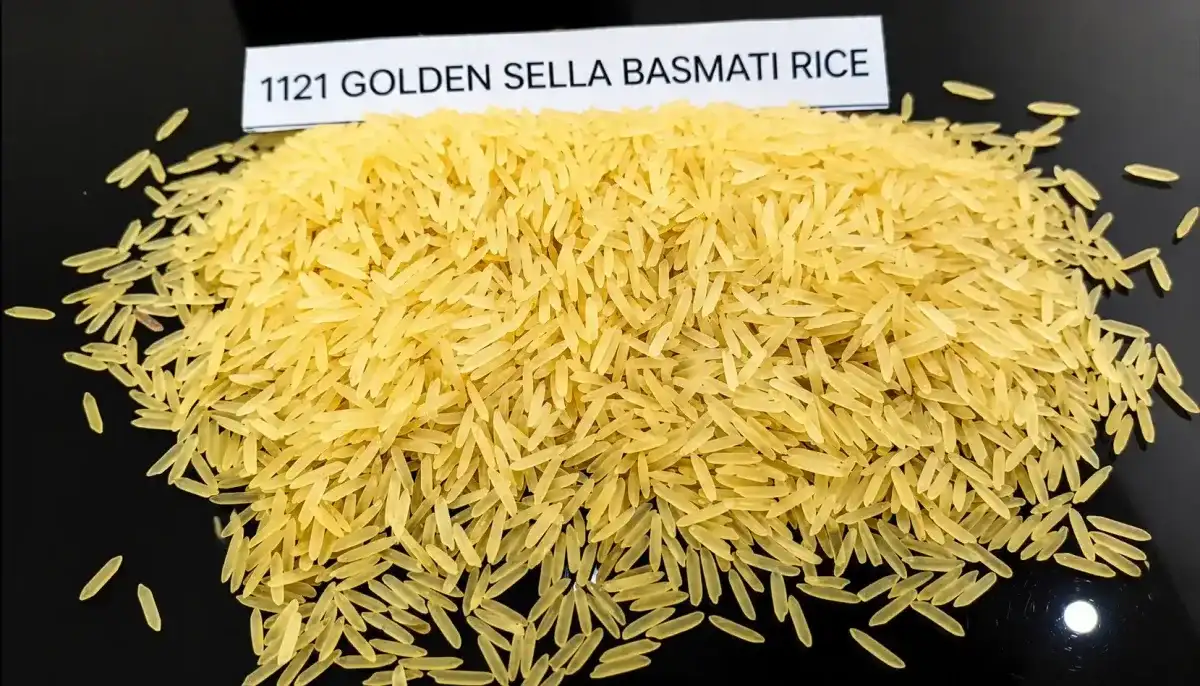 1121 Golden Sella Basmati Rice - Food & Beverages supplier, exporter & wholesale manufacturer