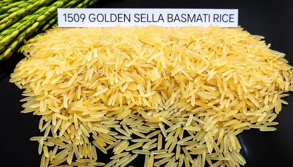 1509 Golden Sella Basmati Rice