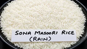 Sona Masoori Raw Rice