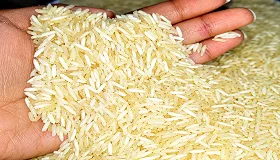 Sona Masoori Sella Rice