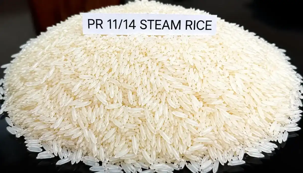 PR 11/14 Steam Rice