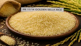 PR 11/14 Golden Sella Rice