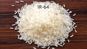 IR 64 Rice - Food & Beverages supplier, exporter & wholesale manufacturer