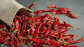 Dry Red Chilli - Food & Beverages supplier, exporter & wholesale manufacturer