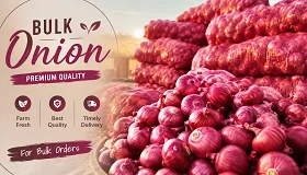 Onion - Food & Beverages supplier, exporter & wholesale manufacturer