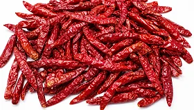 Teja red Chilli