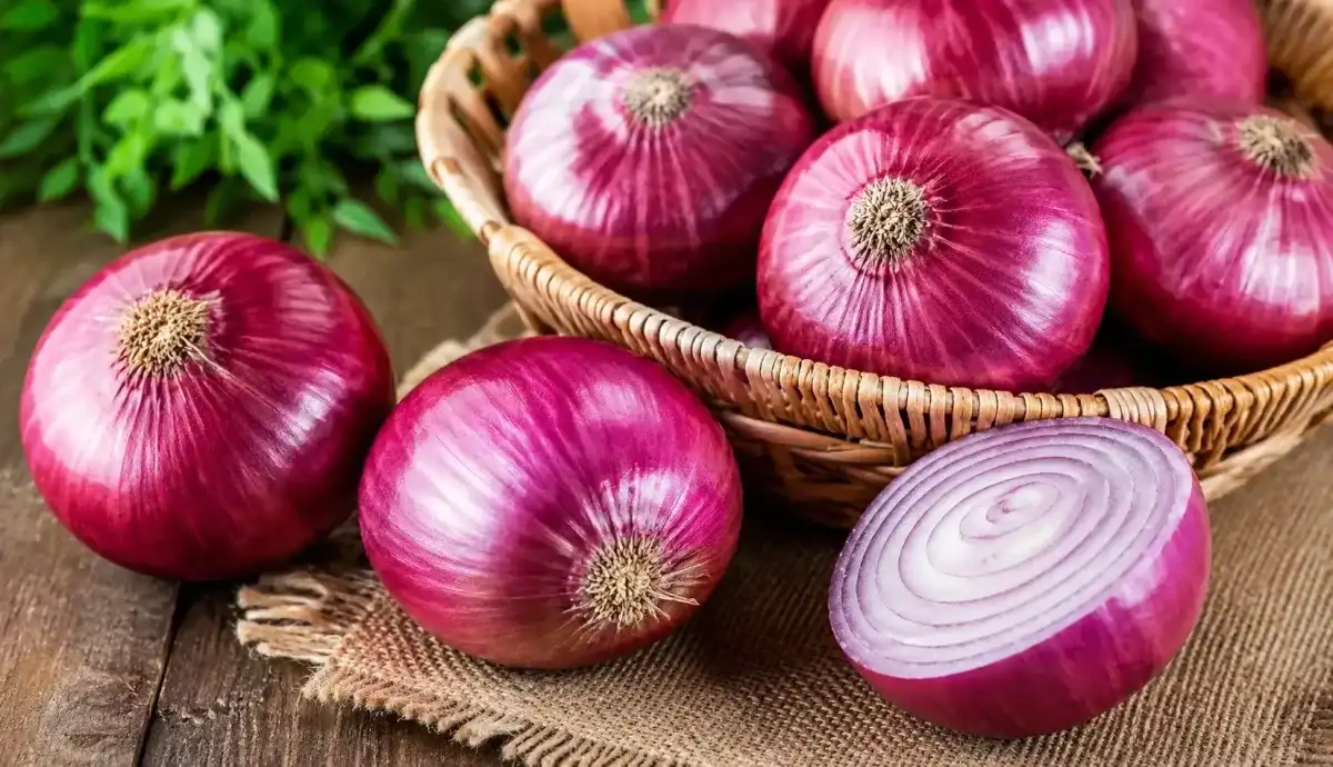 55mm Onion