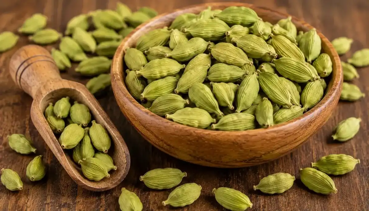 Cardamom