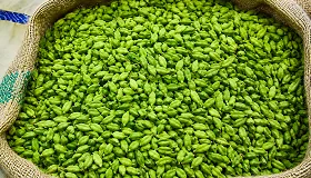 Green Cardamom
