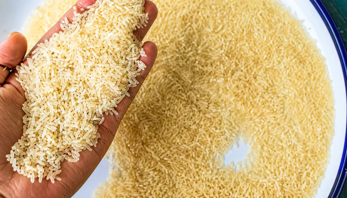IR 36 Golden Parboiled Rice - Food & Beverages supplier, exporter & wholesale manufacturer
