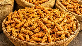 Fresh Turmeric - Food & Beverages supplier, exporter & wholesale manufacturer
