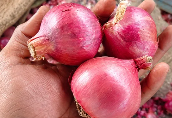 Onion - Food & Beverages supplier, exporter & wholesale manufacturer