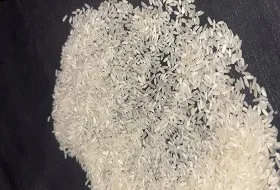 IR 64 Rice