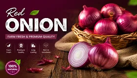 Red Onion - Food & Beverages supplier, exporter & wholesale manufacturer
