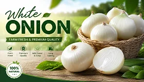 White Onion - Food & Beverages supplier, exporter & wholesale manufacturer