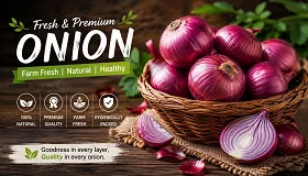 Onion - Food & Beverages supplier, exporter & wholesale manufacturer