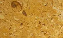 Jaisalmer Yellow Marble - Building & Construction supplier, exporter & wholesale manufacturer