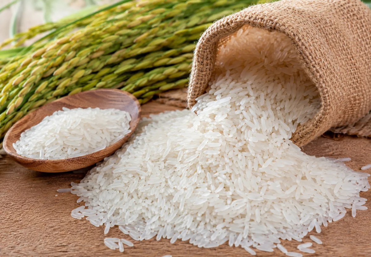Sugar - Food & Beverages supplier, exporter & wholesale manufacturer