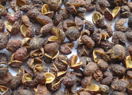Sichuan Pepper - Personal Care supplier, exporter & wholesale manufacturer