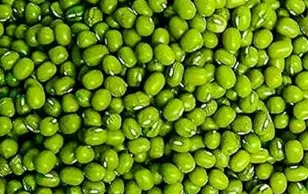 Green Gram - Food & Beverages supplier, exporter & wholesale manufacturer