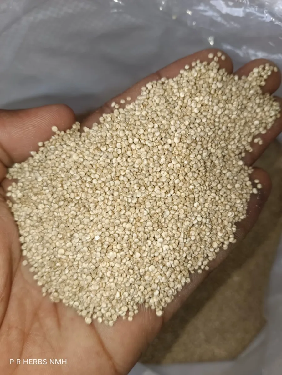 Quinoa White Seeds