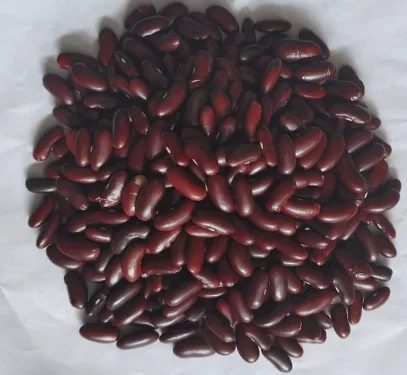 Rajma - Food & Beverages supplier, exporter & wholesale manufacturer