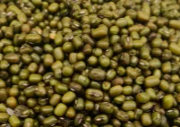 Green Moong - Food & Beverages supplier, exporter & wholesale manufacturer
