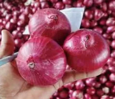 Nashik red Onion