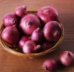 Onion