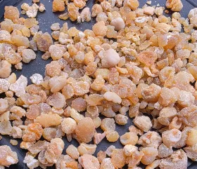 Tajiki Nukra Hing - Food & Beverages supplier, exporter & wholesale manufacturer