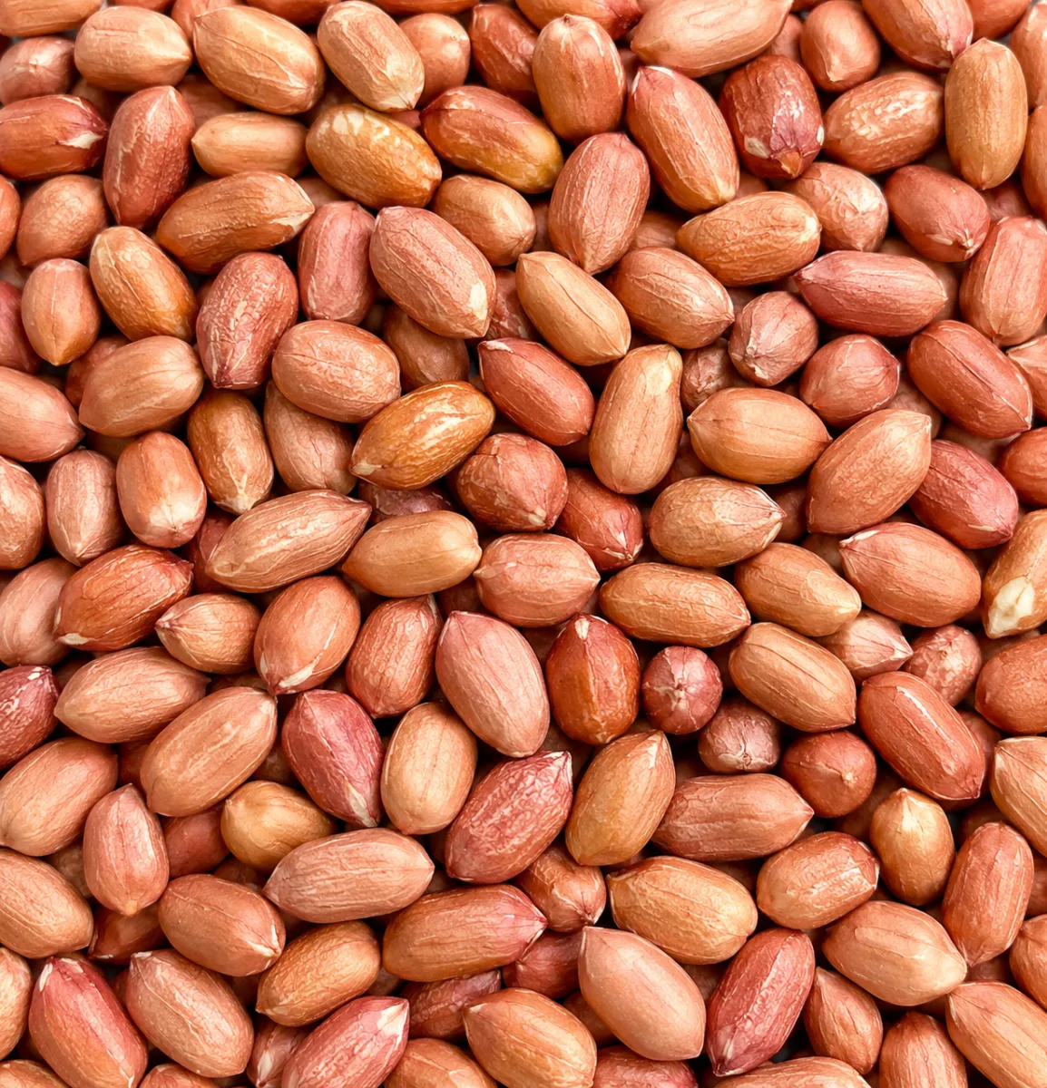 Peanut