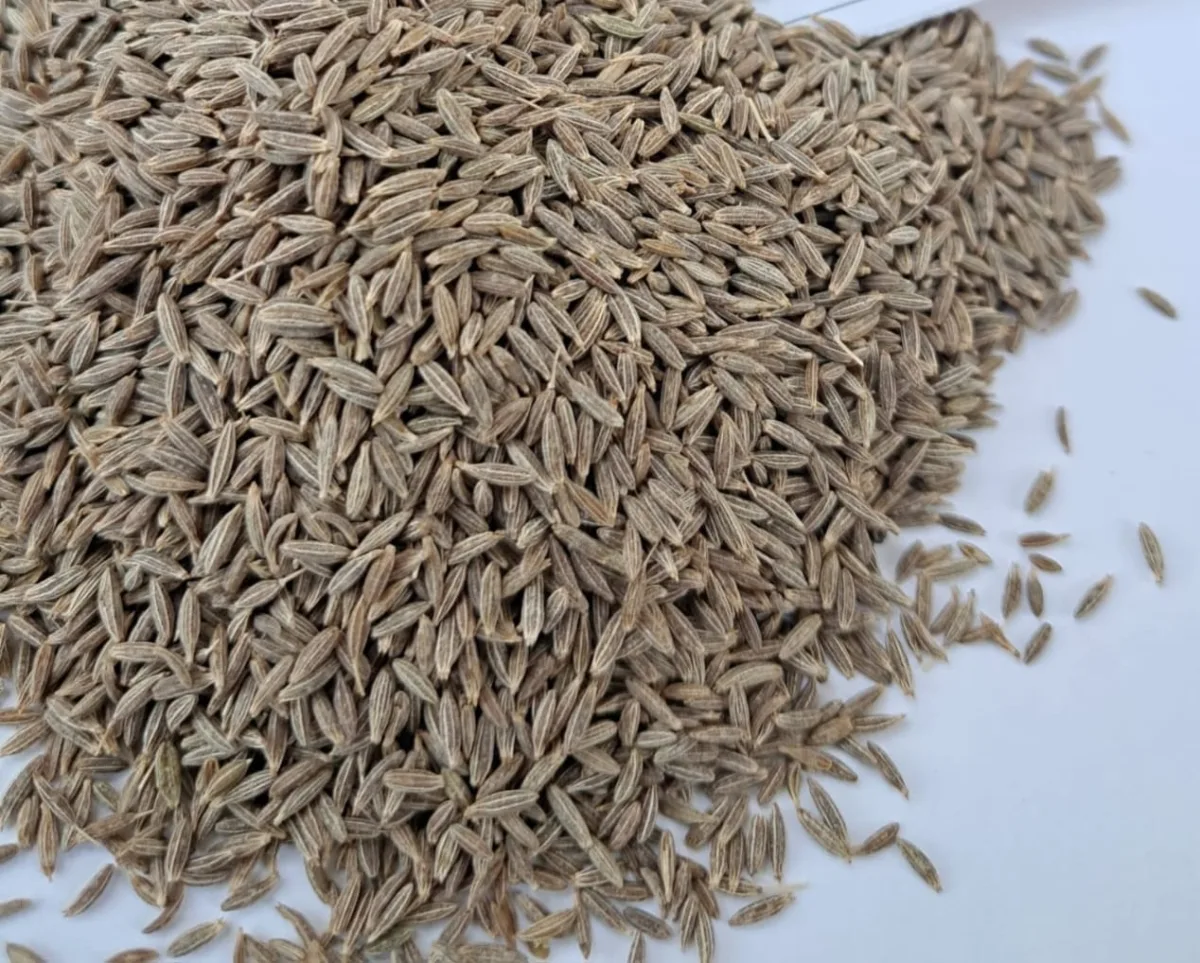 Cumin Seed - Food & Beverages supplier, exporter & wholesale manufacturer