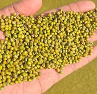 Green Moong